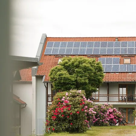 Sonnenhof - Tante Alma's Sommerfrische 3*