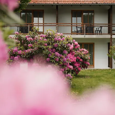 Sonnenhof - Tante Alma's Sommerfrische Hotel Sonnen